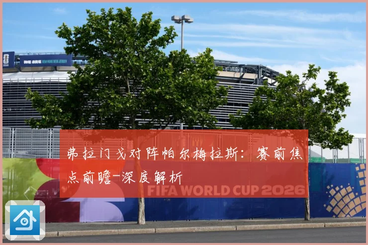 弗拉门戈对阵帕尔梅拉斯：赛前焦点前瞻-深度解析